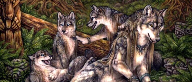 Copertina terza puntata storia fandom