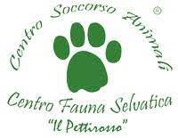 Logo Centro fauna Pettirosso